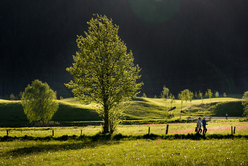 neuwirt_zillertal_impressum800 neuwirt_zillertal_impressum800