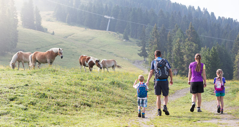 neuwirt-tirol_wandern_panorama_800px Arena Panorama-Tour